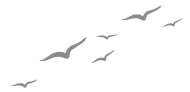 Decorative asset top left