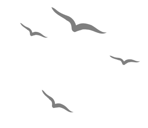 Decorative asset top right